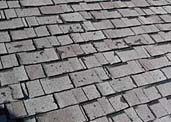 CertainTeed Shingles Defective—that is Certain