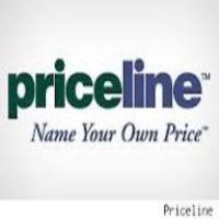 Priceline Will Face Consumer Fraud Class Action over Spirit Ticket Pricing