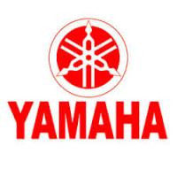 Yamaha Defective First Generation Four Stroke Outboard Class Action Lawsuit