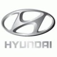 Hyundai Faces Defective Automotive Class Action Lawsuit Over  Power Steering